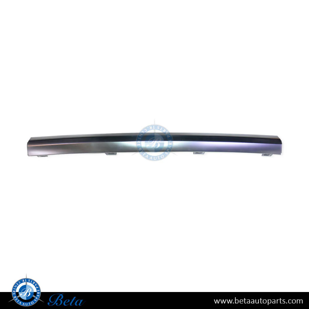 Audi Q5 Sportsback S-Line (2021-2024), Rear Diffuser Moulding Silver Center, China, 80F807578