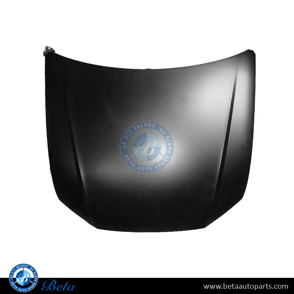 Audi Q8 (2019-Up), Hood (Iron), China, 4M8823029B