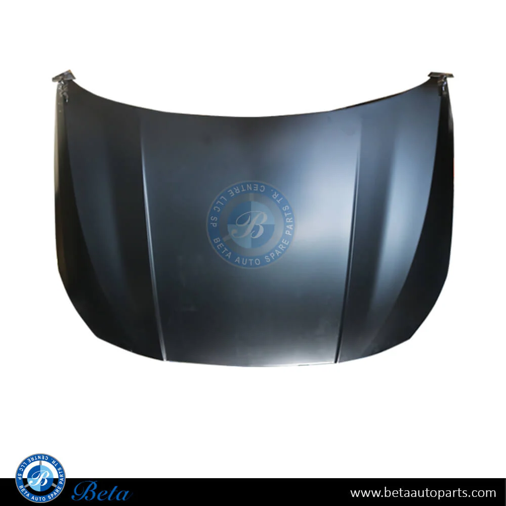 BMW 1 / 2 Series F40 / F44 (2020-2024), Hood (Aluminum), China, 41009492428