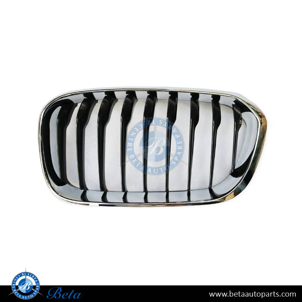BMW 1 Series F20 / F21 LCI (2015-2019), Radiator Grille - Sport/M-Tek (Left), Taiwan, 51137371685