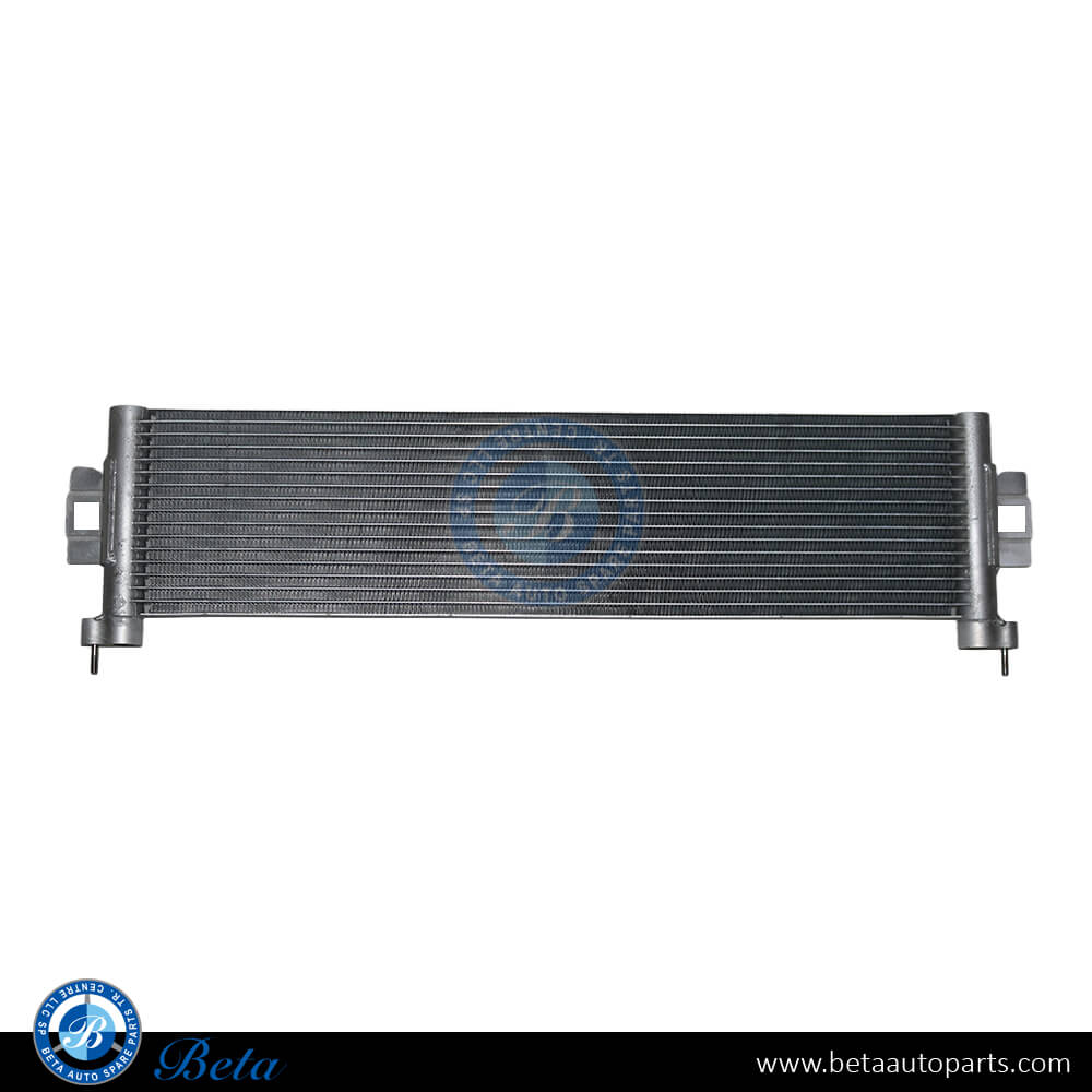 BMW 2/3/4 Series G87 / G80 / G81 / G82 / G83 (2019-Up), Engine Oil Cooler, China, 17215A4DF50 / 17118095293