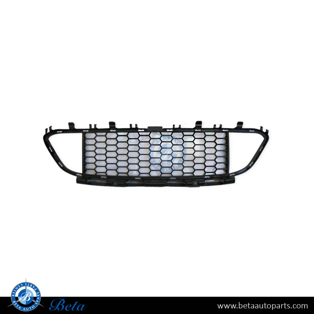BMW 3 Series F30 (2012-2018), Front Bumper Lower Grille M-Tek (Center), China, 51118068124 / 51118054132