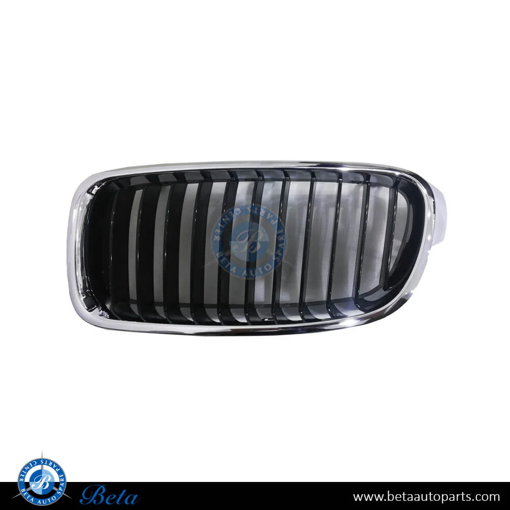 BMW 3 Series F30 (2012-2018), Radiator Grille - Sport Line (Left), China, 51137260497