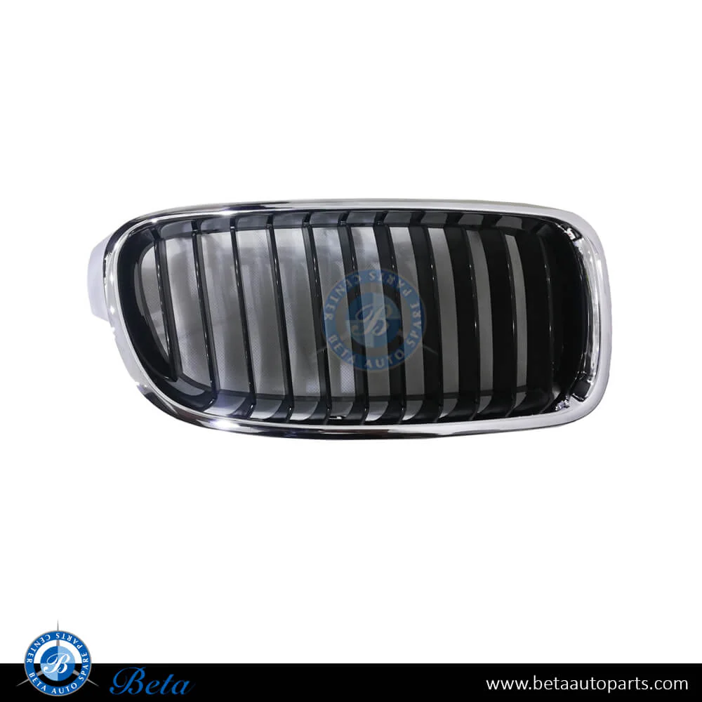 BMW 3 Series F30 (2012-2018), Radiator Grille - Sport Line (Right), China, 51137260498