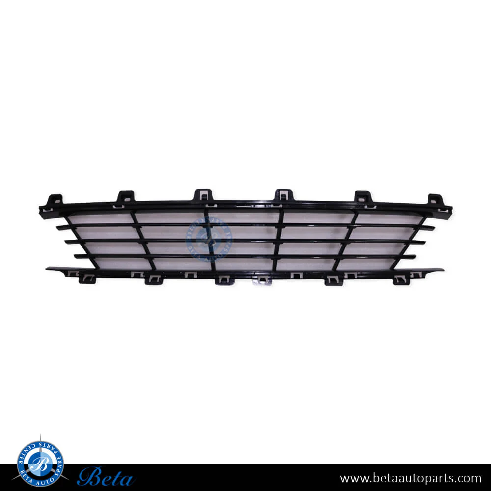 BMW 3 Series G20 (2019-Up), Front Bumper Lower Grille without ACC - Lines (Center), Taiwan, 51117464258