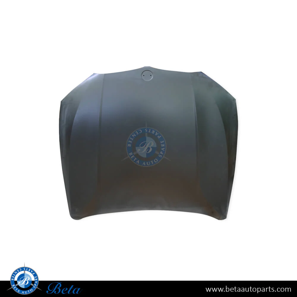 BMW 3 Series G20 (2019-Up), Hood (Aluminum), Taiwan, 41008494446