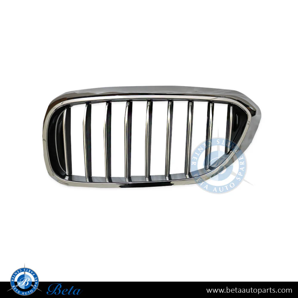 BMW 5 Series G30 (2017-2020), Radiator Grille - Basis (Left), Taiwan, 51137383519