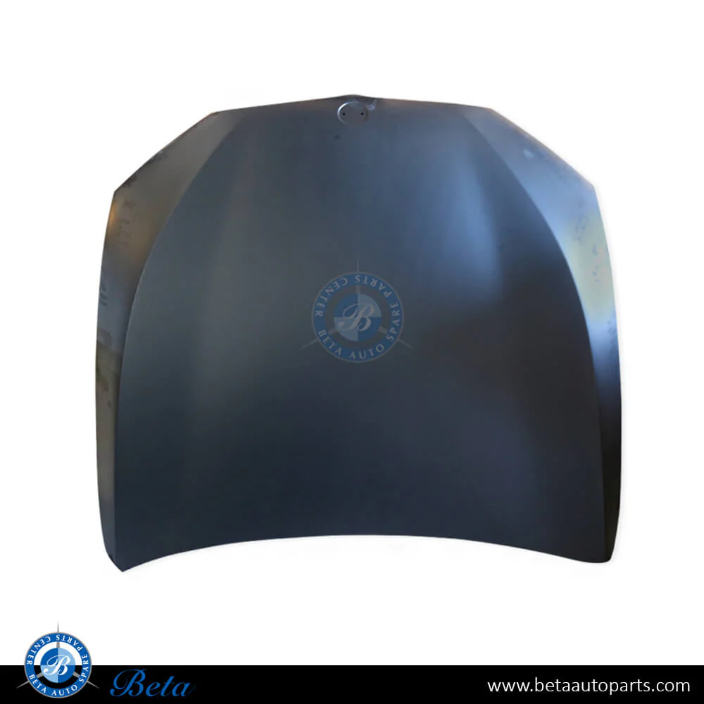 BMW 5 Series G30 (2017-2023), Hood (Aluminum), Taiwan, 41007440427