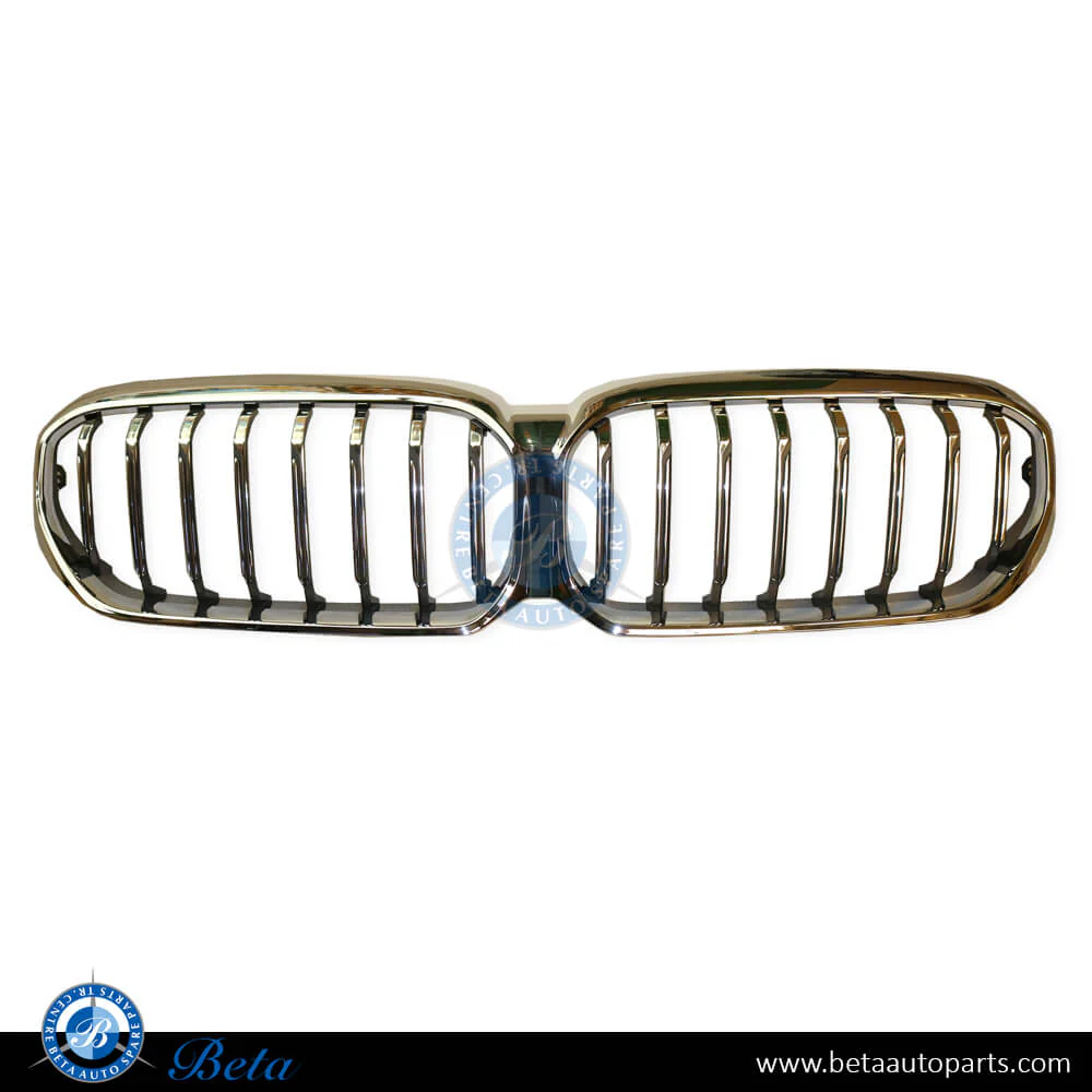 BMW 5 Series G30 LCI (2021-2023), Radiator Grille without Camera Hole (Luxury), China, 51139464218