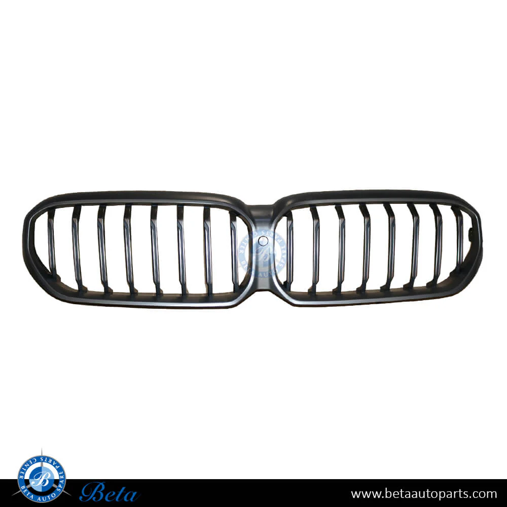 BMW 5 Series G30 LCI (2021-2023), Radiator Grille M-Tek with Camera Hole (Silver), China, 51129852284