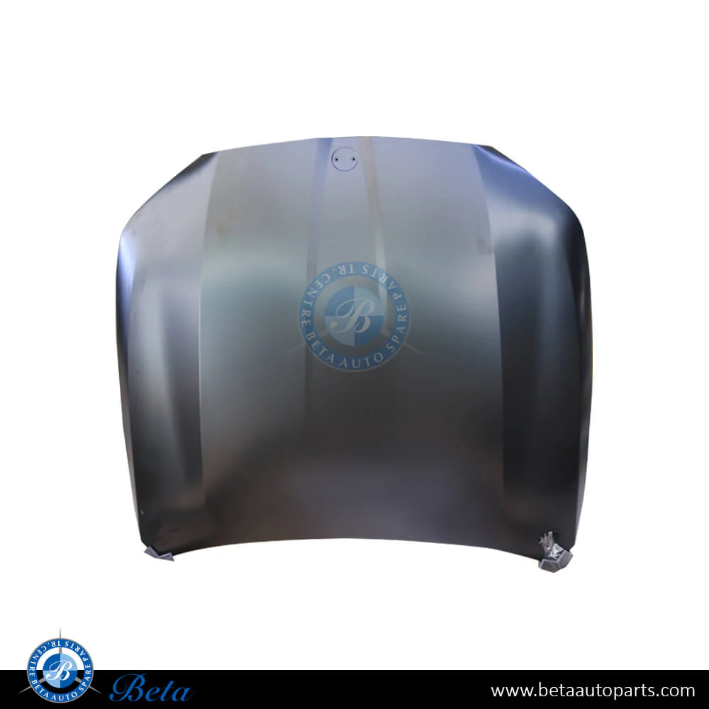 BMW 5 Series G60 (2024-Up), Hood (Aluminum), China, 41619633618