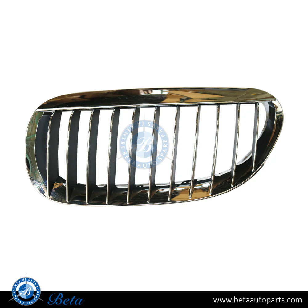 BMW 6 Series E63 (2004-2007), Radiator Grille - Black and Chrome (Left), Taiwan, 51137077931