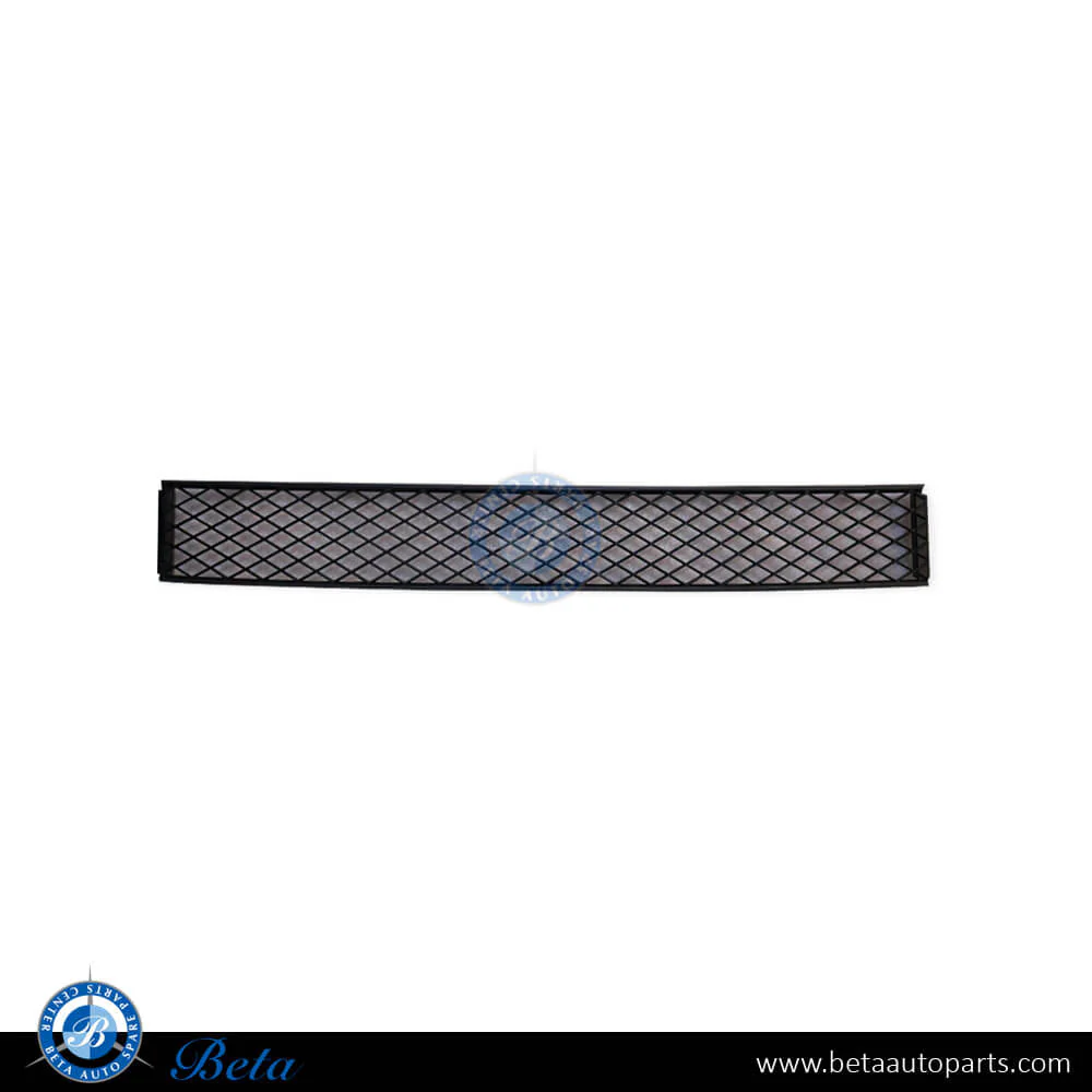 BMW 7 Series F01 / F02 (2009-2012), Front Bumper Lower Grille (Center), Taiwan, 51117183870