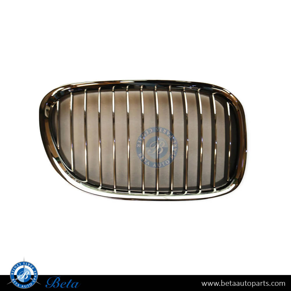 BMW 7 Series F01 / F02 (2009-2012), Radiator Grille (Left), China, 51117184151
