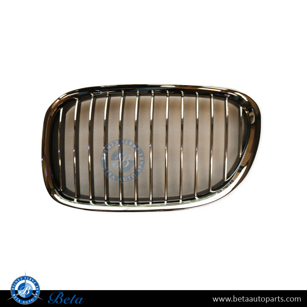 BMW 7 Series F01 / F02 (2009-2012), Radiator Grille (Right), China, 51117184152