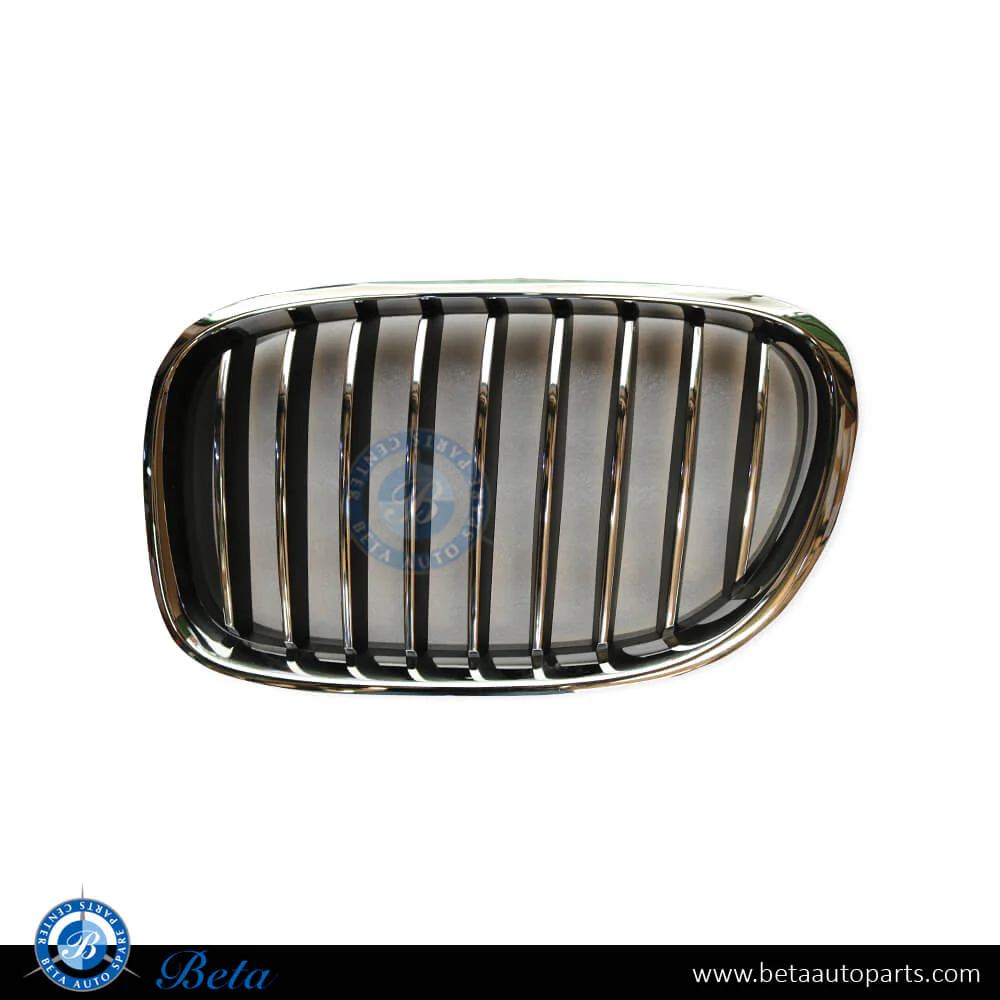 BMW 7 Series F01 / F02 LCI (2013-2015), Radiator Grille (Left), China, 51117295297