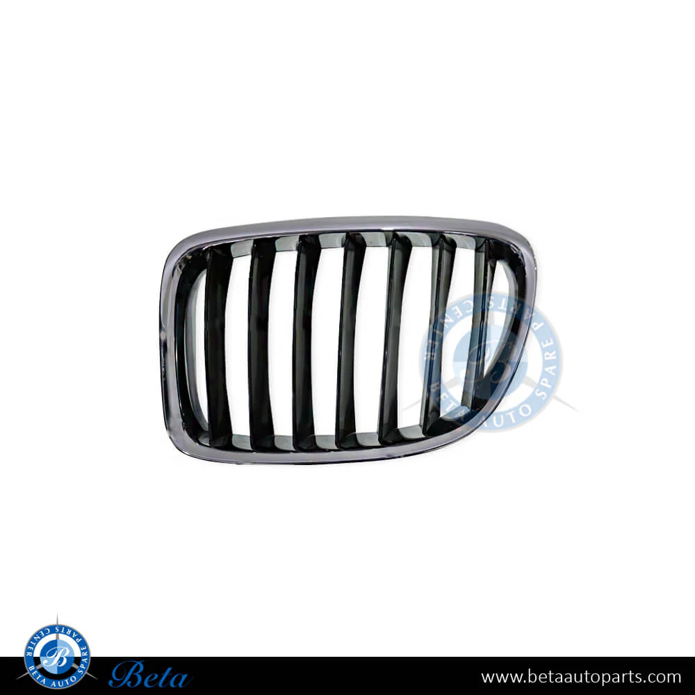 BMW X1 E84 (2009-2012), Radiator Grille - Black (Left), China, 51112993305