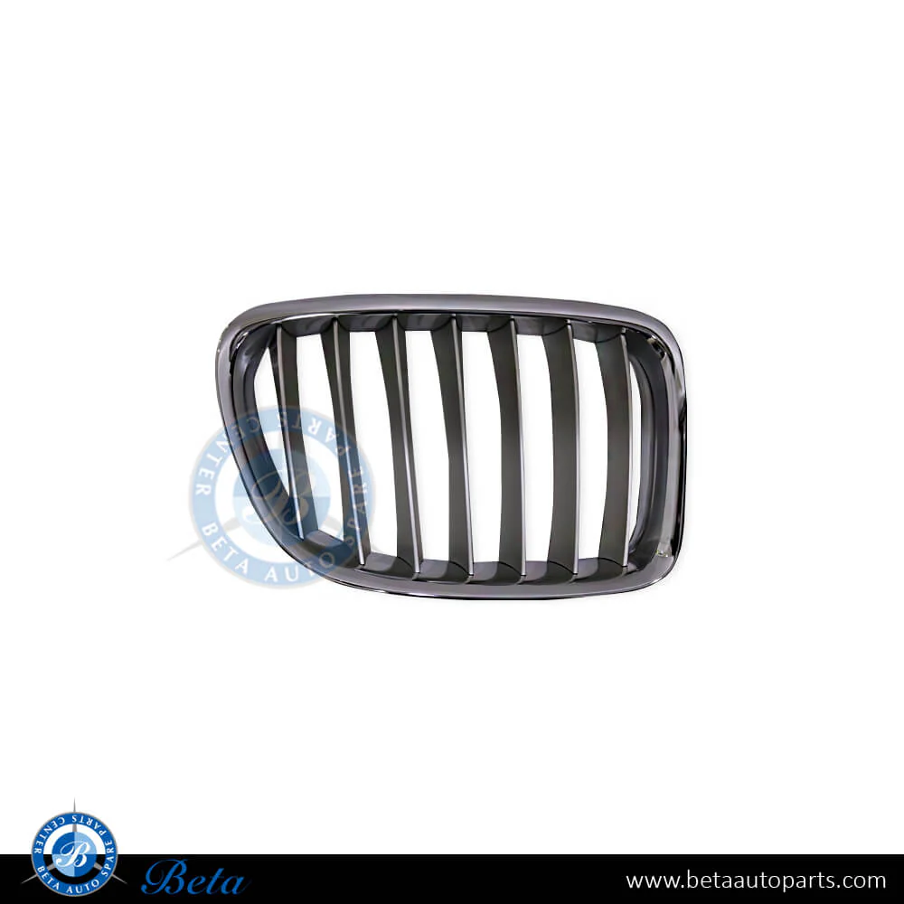 BMW X1 E84 (2009-2012), Radiator Grille - Chrome (Right), China, 51112993308