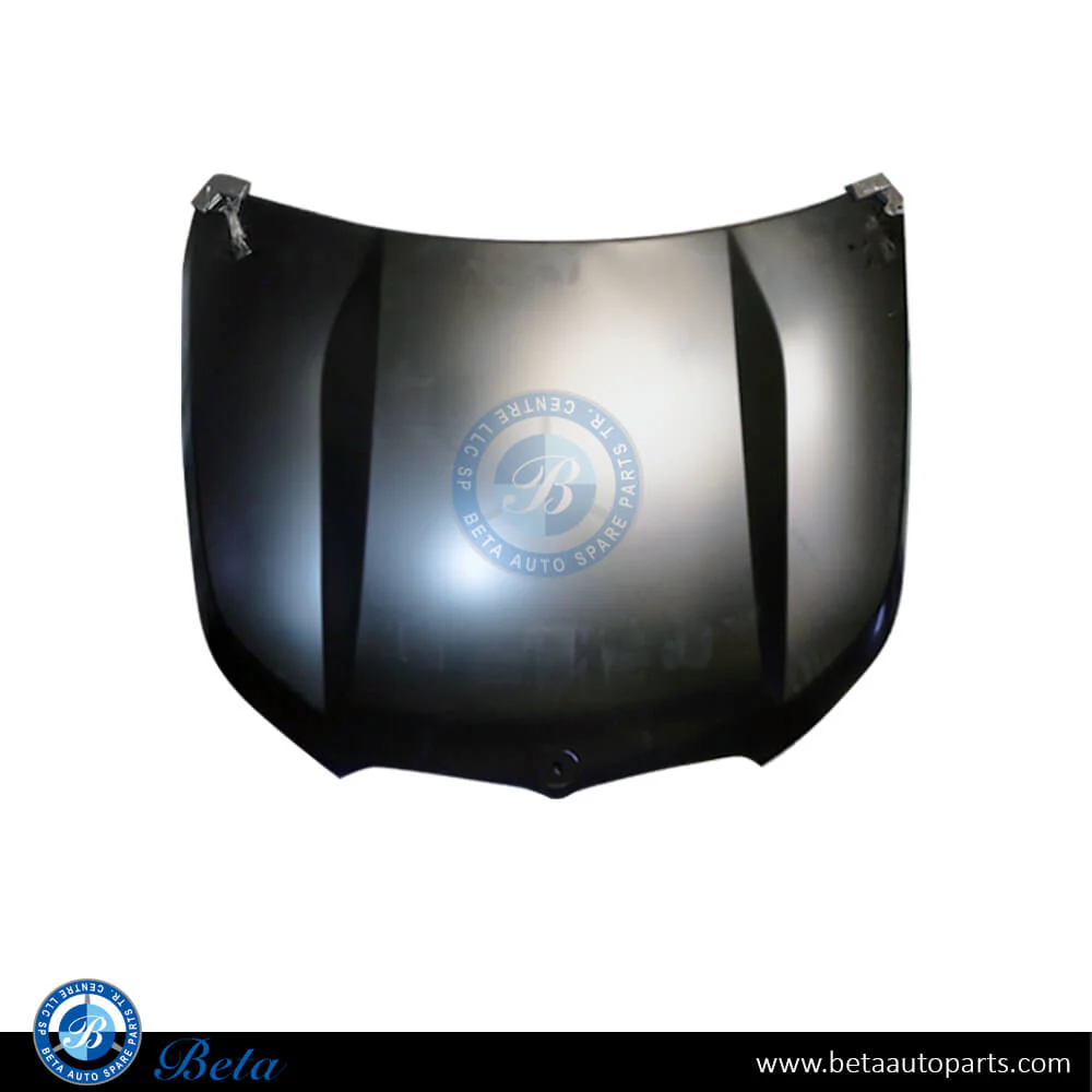 BMW X1 U11 (2023-Up), Hood, China, 41009629102