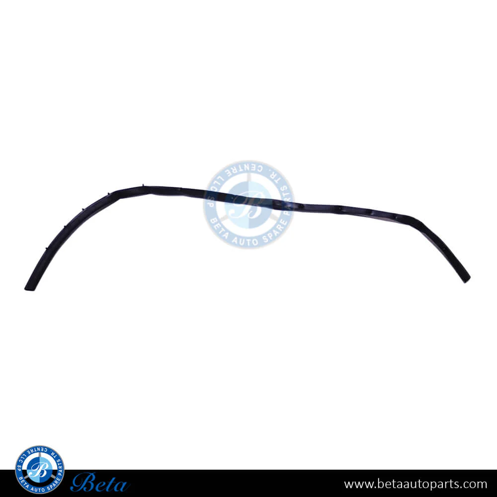 BMW X3 / X4 G01 / G02 (2018-2023), Hood Seal - Center, China, 51767397485