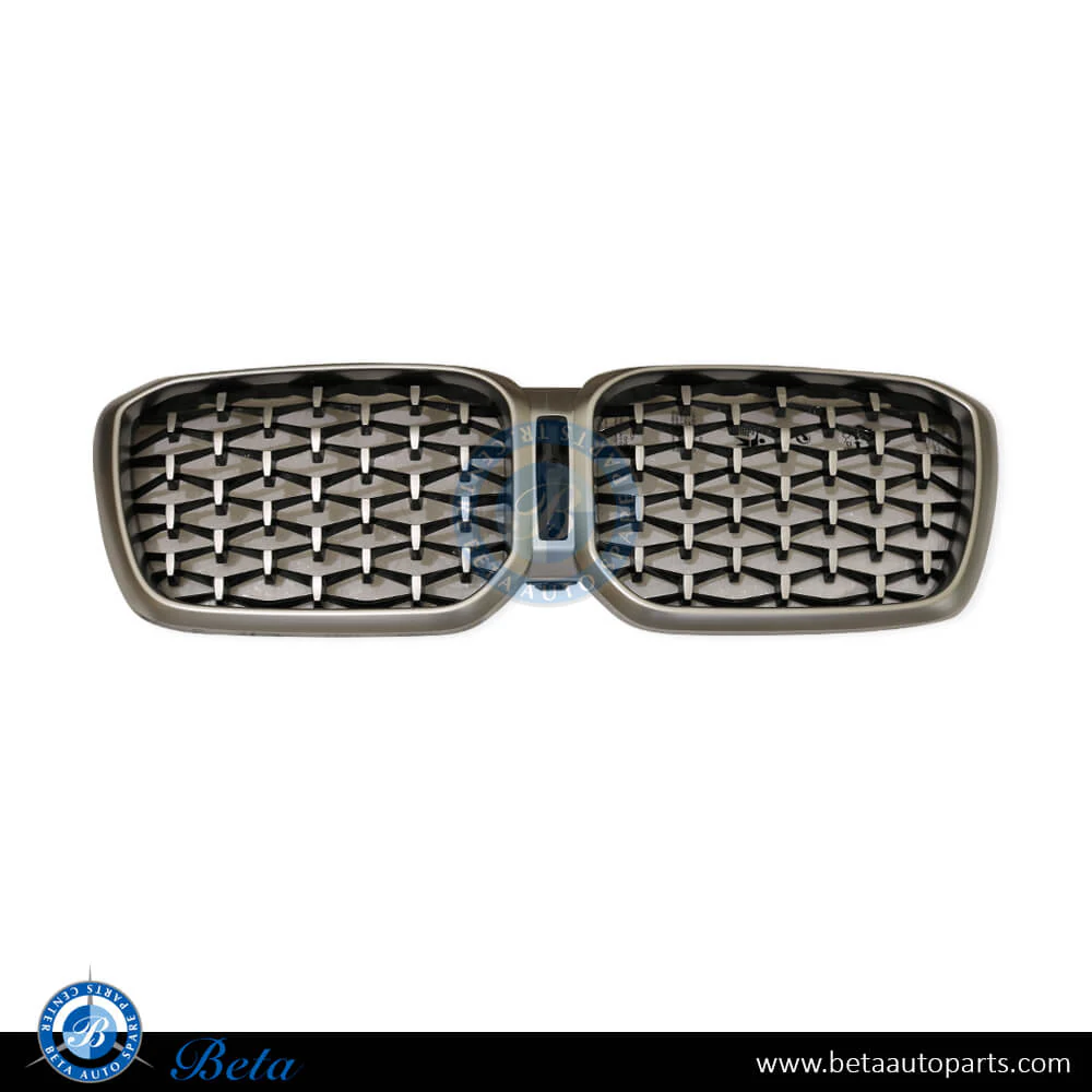 BMW X4 G02 LCI (2022-Up), Radiator Grille Stars Look with Camera Hole Fit for Standard and M-Tek (Silver), China, 51135A20763