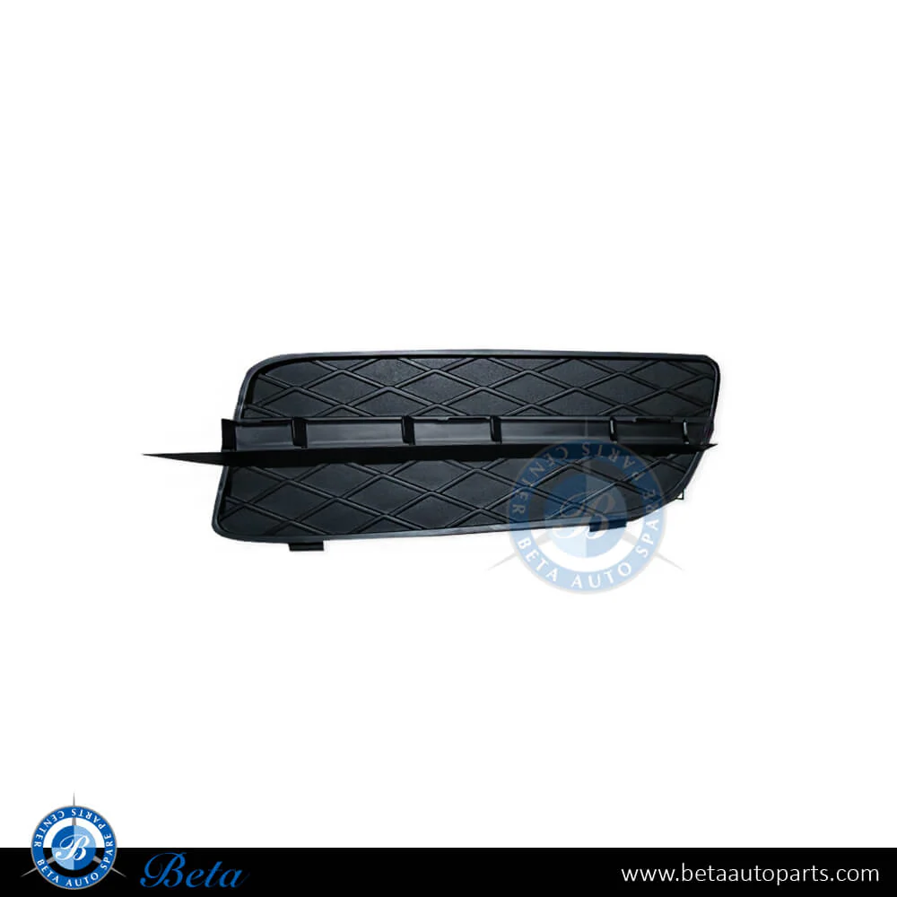 BMW X5 E70 (2007-2010), Front Bumper Lower Grille (Left), Taiwan, 51117159593
