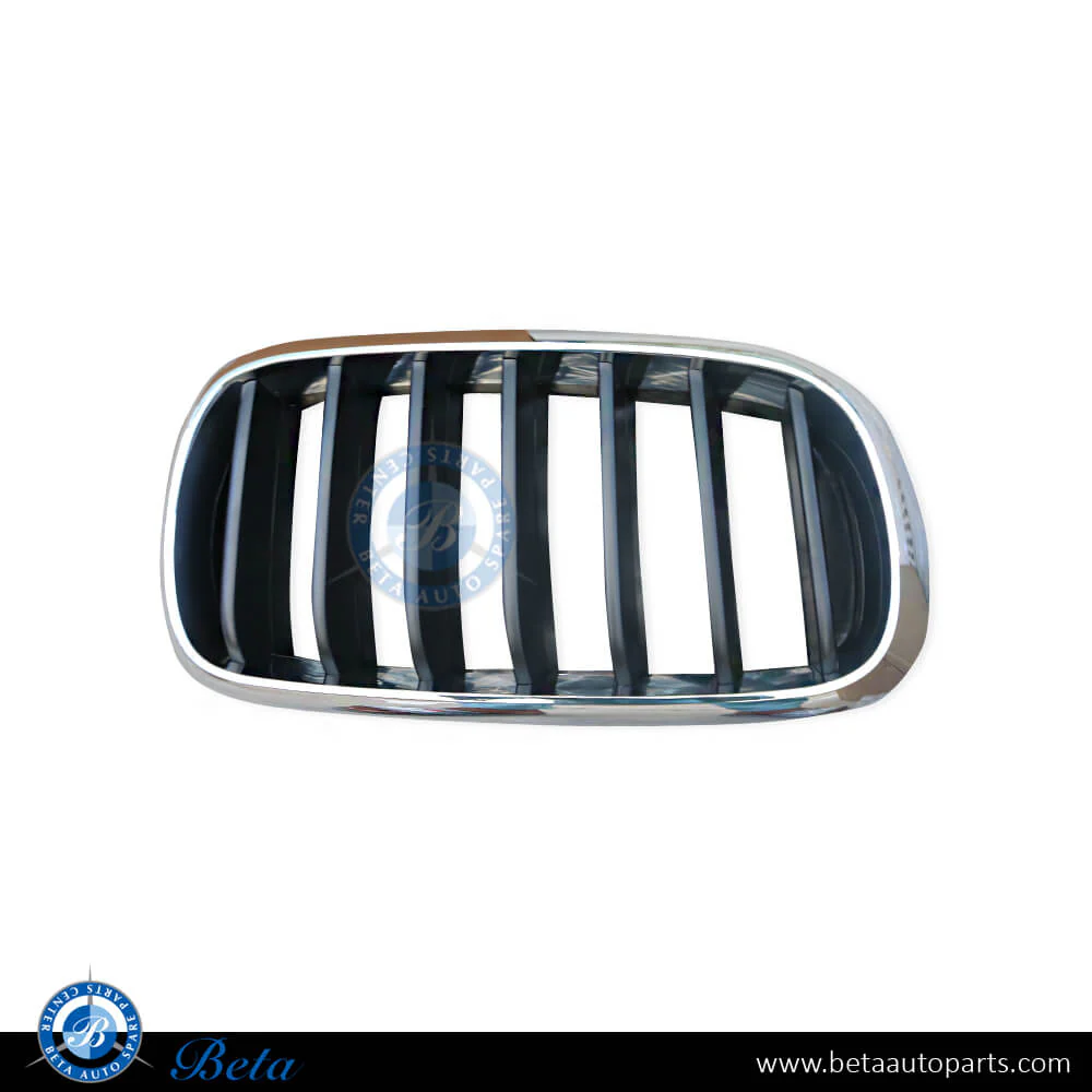 BMW X5 F15 (2014-2018), Radiator Grille - Black and Chrome (Right), China, 51137294486