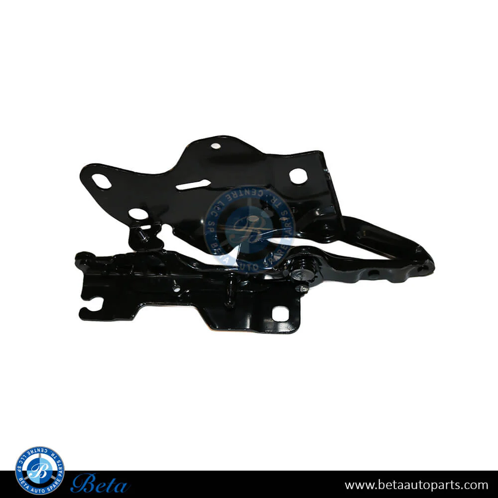 BMW X5 / X6 / X7 / XM G05 / G06 / G07 / G09 (2019-Up), Hood Hinge (Left), China, 41009477741