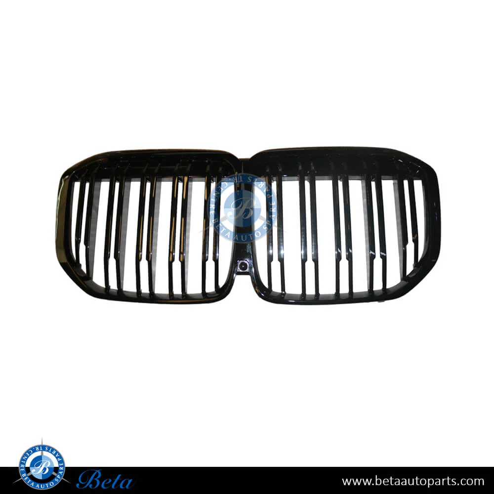 BMW X7 G07 (2019-2022), Radiator Grille M Look, China, 51138745730