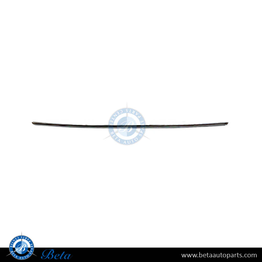 Mercedes C-Class W204 (2011-2014), Rear Bumper Moulding - Chrome (Center), Taiwan, 2048853121