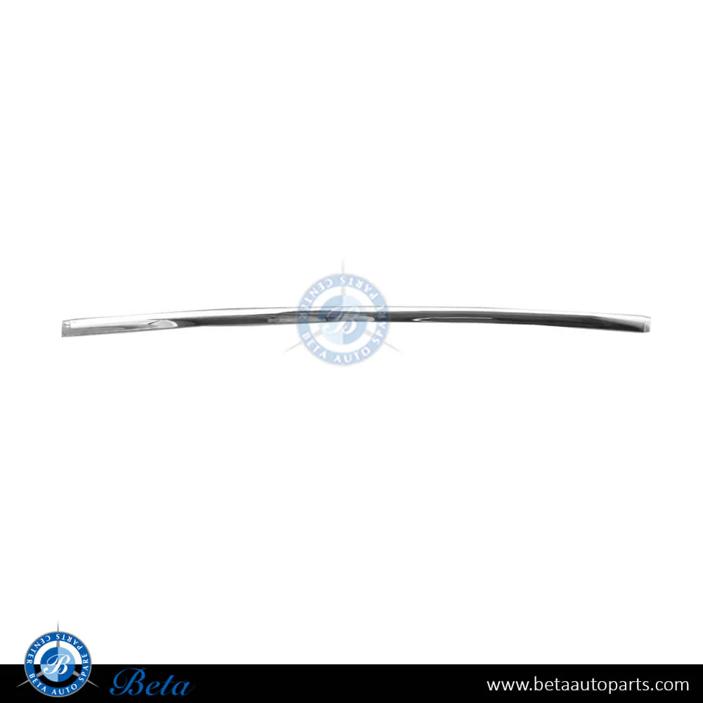 Mercedes C-Class W202 (1997-2000), Rear Bumper Moulding (Center), Taiwan, 2028851674