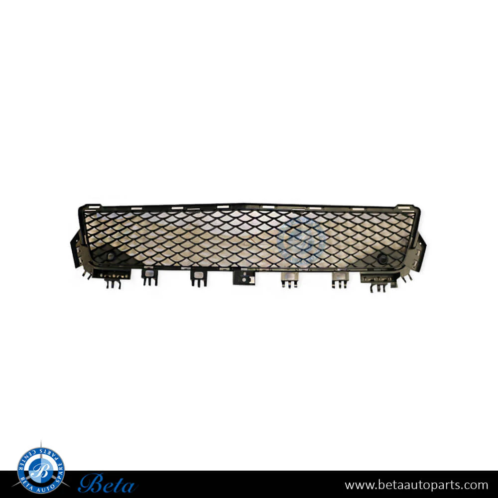Mercedes C-Class W204 (2011-2014), Front Bumper Lower Grille AMG C63 (Center), Taiwan, 2048851753