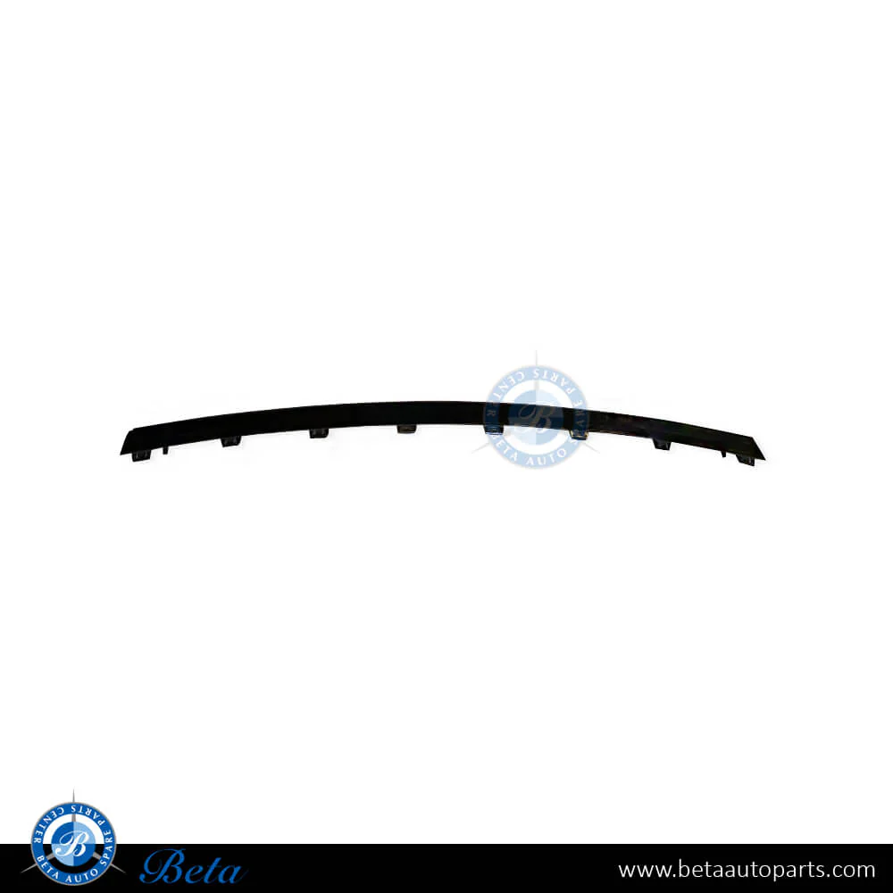 Mercedes C-Class W205 (2019-2021), Front Bumper Moulding Normal AMG - Black (Center), China, 2058859102