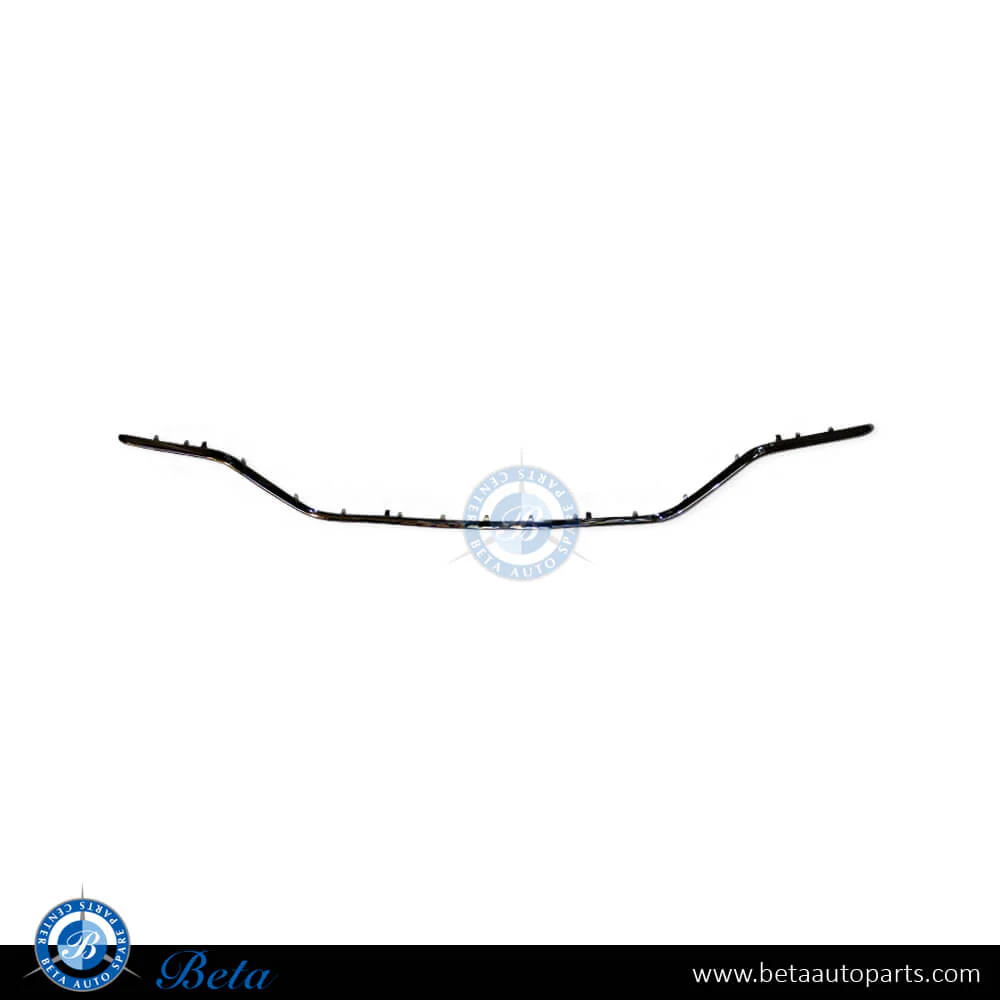Mercedes C-Class W205 (2019-2021), Rear Diffuser Moulding Normal AMG (Silver), China, 2058853903