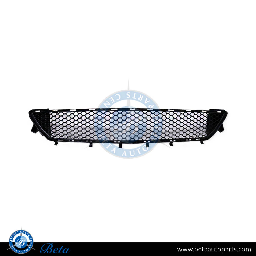 Mercedes E-Class Coupe C207 (2010-2013), Front Bumper Lower Grille AMG (Center), Taiwan, 2078800085