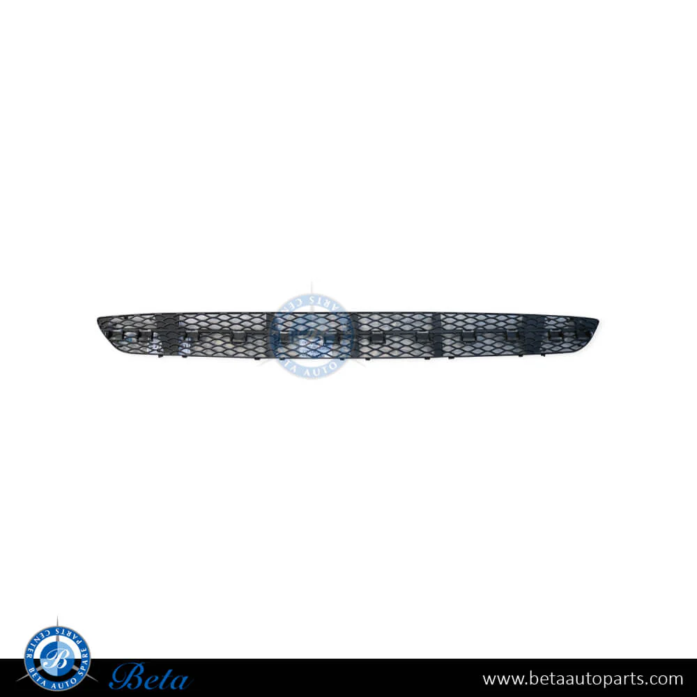 Mercedes E-Class W211 (2003-2005), Front Bumper Lower Grille Avantgarde (Center), China, 2118850553