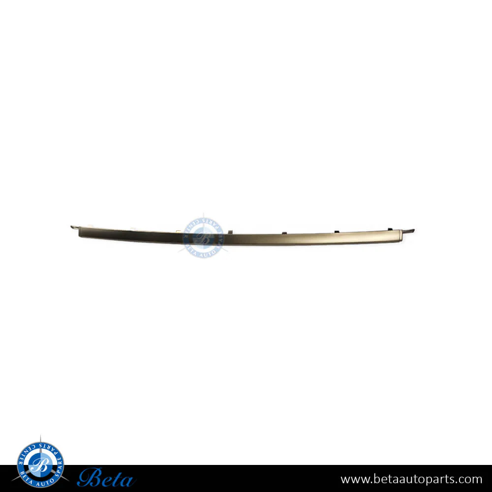 Mercedes E-Class W212 (2014-2016), Rear Bumper Moulding AMG E63 - Chrome (Center), Taiwan, 2128854421