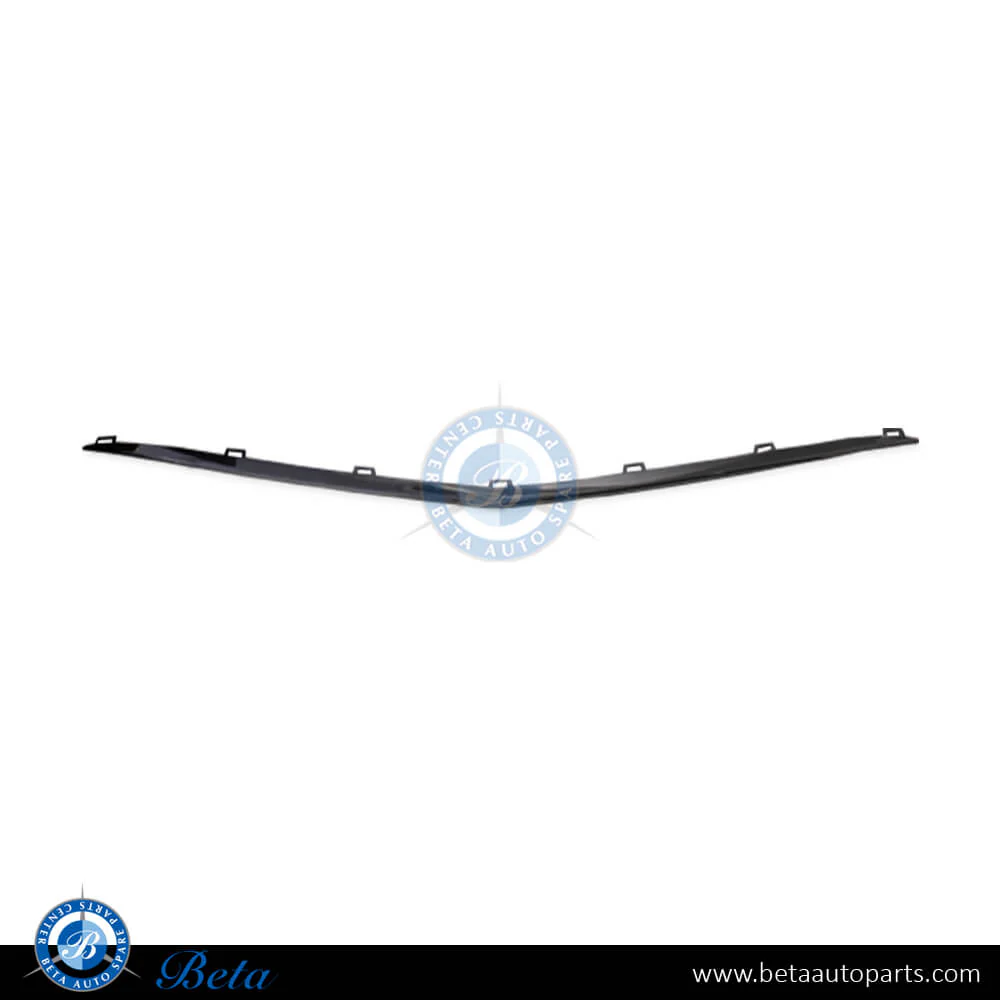 Mercedes E-Class W213 (2017-2020), Front Bumper Moulding Base Package Chrome Center, China, 2138850300