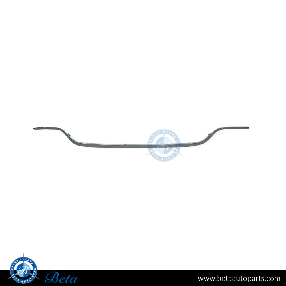 Mercedes E-Class W213 (2017-2020), Rear Diffuser Moulding for Normal AMG - Chrome (Center), China, 2138856601