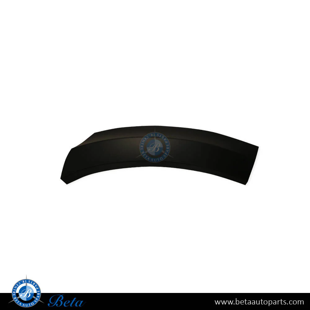 Mercedes GL-Class X164 (2006-2012), Rear Wheel Arch Normal AMG - Rear Half (Left), China, 1648845122