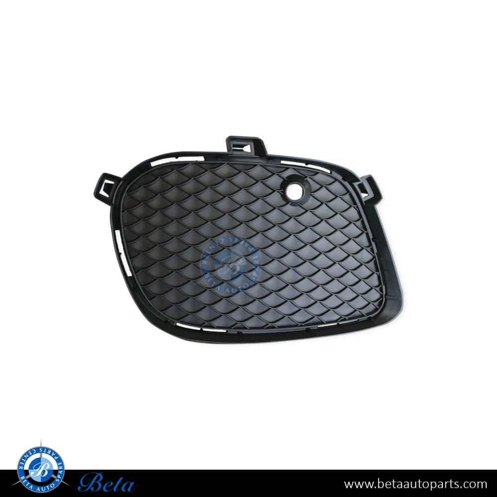 Mercedes GLE-Class / GLS-Class W166 / C292 / X166 (2015-2019), Fog Lamp Cover Normal AMG (Left), China, 2928855322