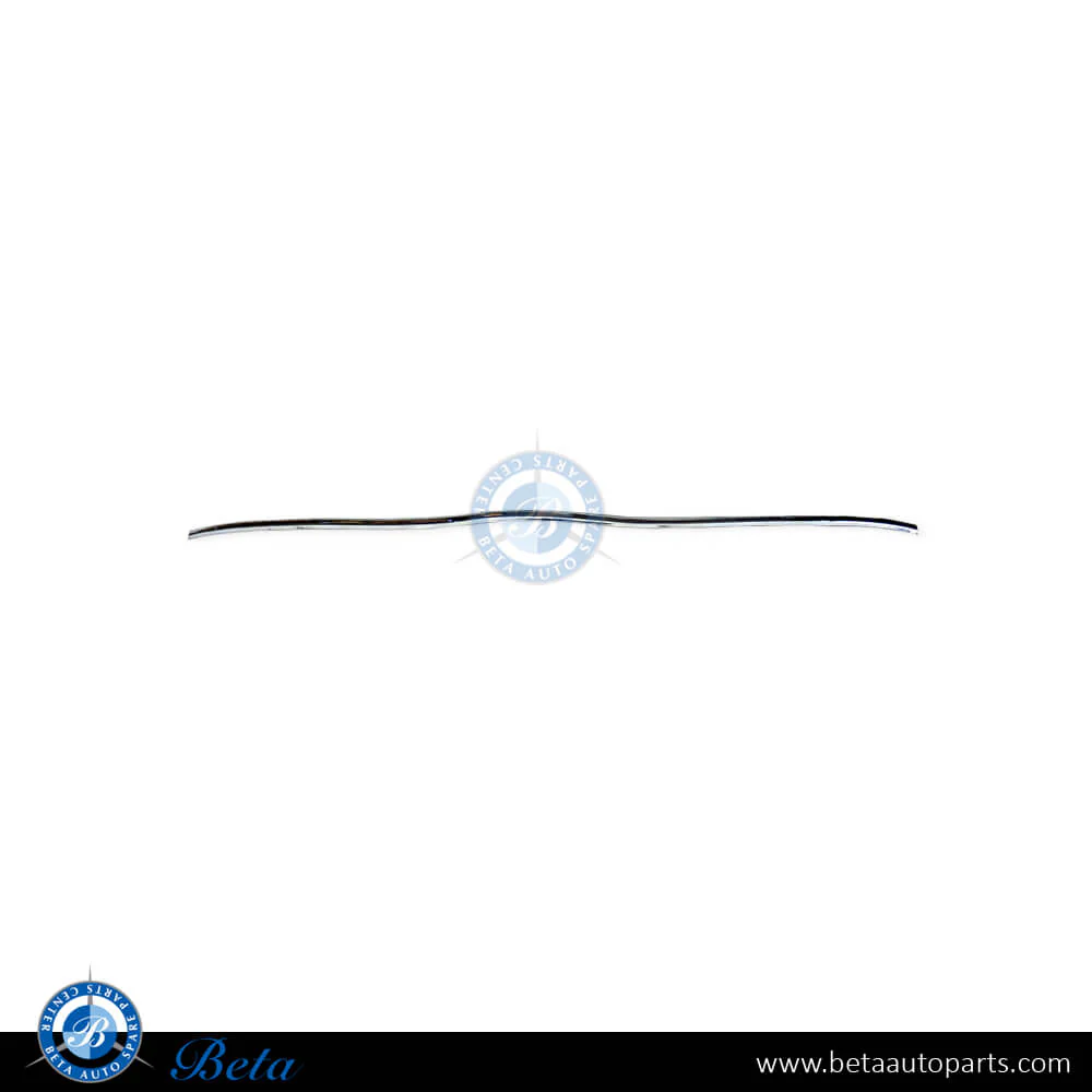 Mercedes S-Class W220 (1999-2005), Rear Bumper Moulding - Chrome (Center), Taiwan, 2208850074