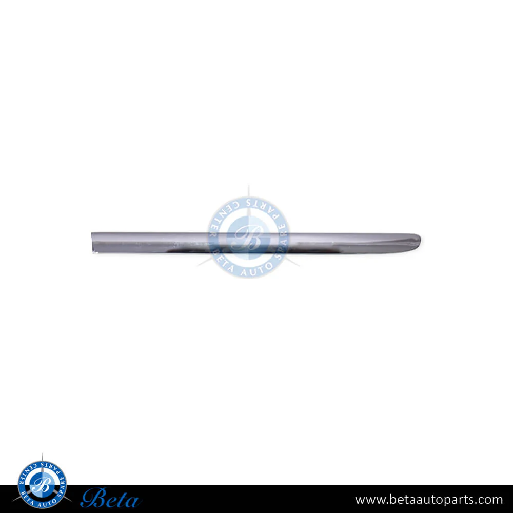 Mercedes S-Class W221 (2006-2013), Fender Moulding - Chrome (Left), China, 2216903980