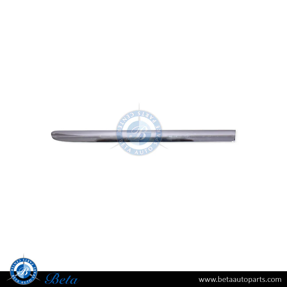 Mercedes S-Class W221 (2006-2013), Fender Moulding - Chrome (Right), China, 2216904080