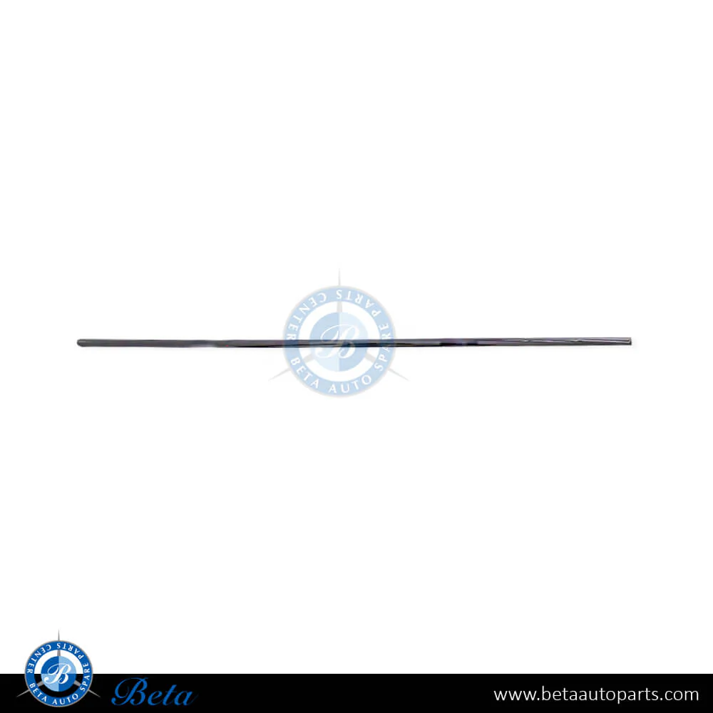 Mercedes S-Class W221 (2006-2013), Rear Door Moulding Long - Chrome (Left), China, 2216904580 / 2216902580