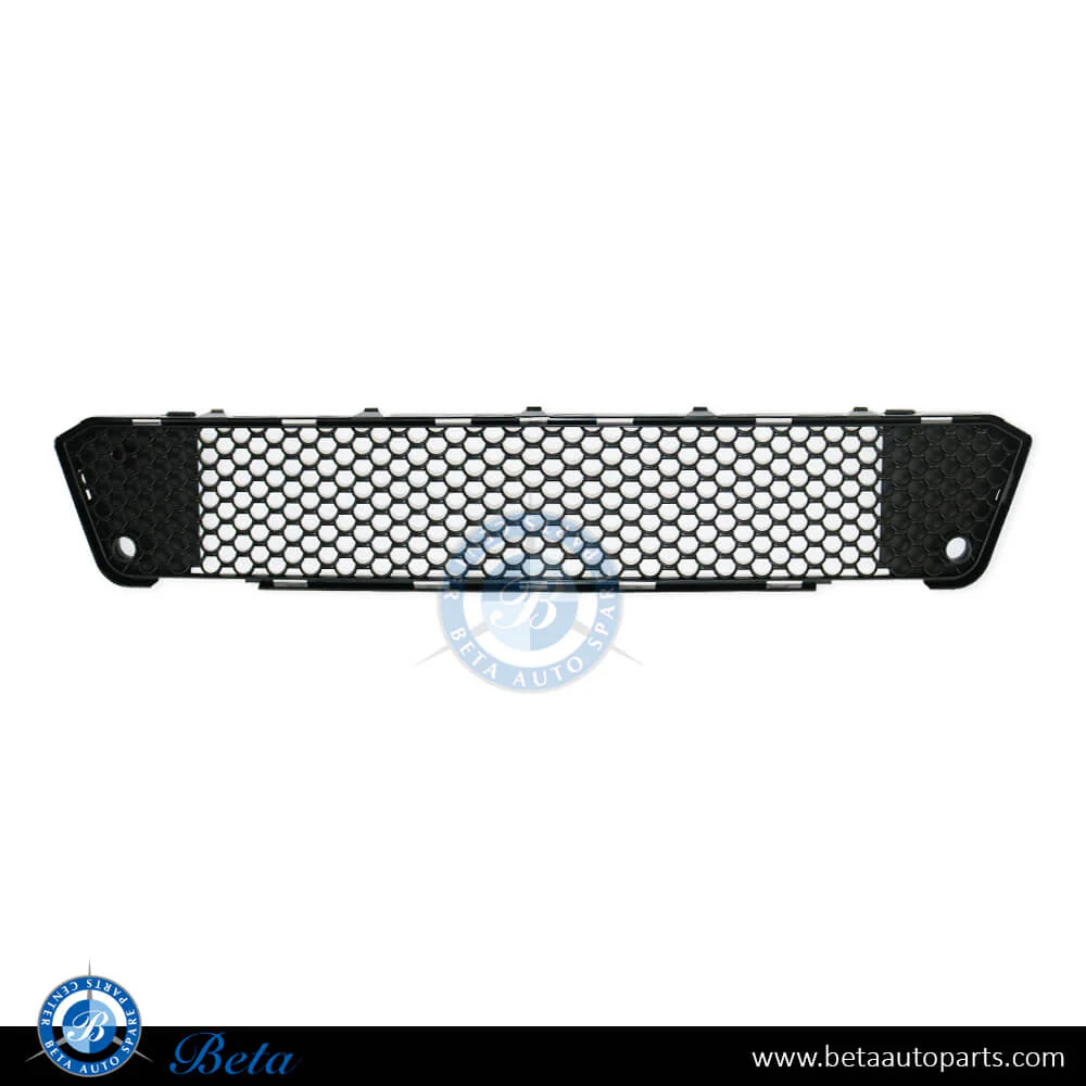 Mercedes S-Class W221 (2010-2013), Front Bumper Lower Grille AMG S63 (Center), Taiwan, 2218850953