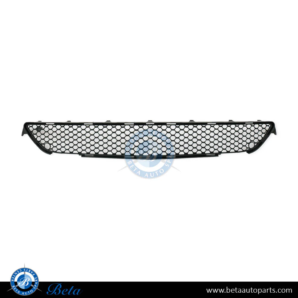 Mercedes S-Class W221 (2010-2013), Front Bumper Lower Grille Normal AMG (Center), Taiwan, 2218850453