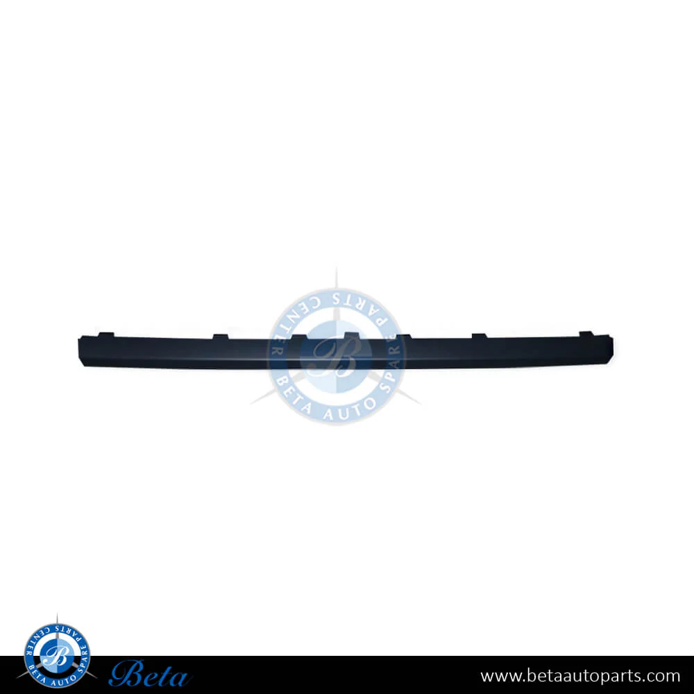 Mercedes S-Class W221 (2010-2013), Rear Diffuser Moulding Normal AMG (Small), Taiwan, 2218852125