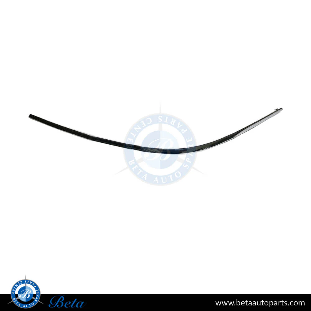 Mercedes S-Class W221 (2010-2013), Front Bumper Moulding - Chrome (Left), China, 2218850121