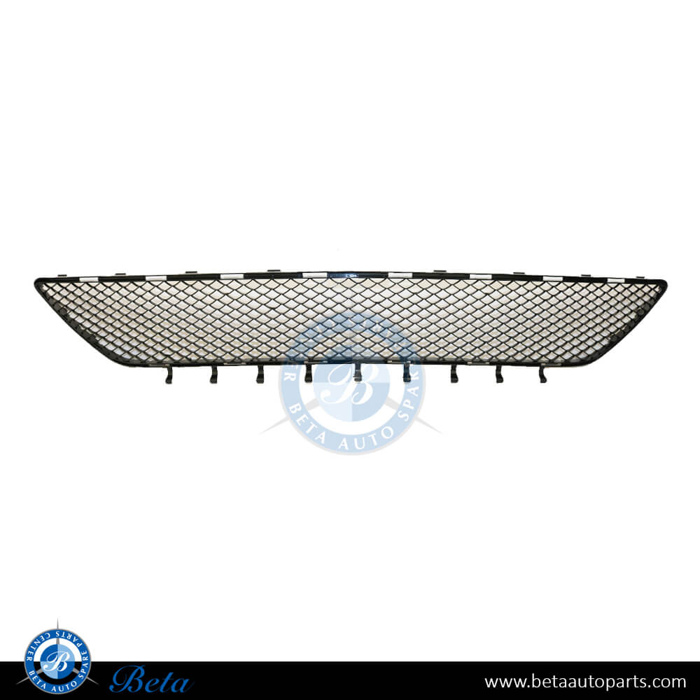 Mercedes S-Class W222 (2014-2017), Front Bumper Lower Grille Normal AMG (Center), Taiwan, 2228850053